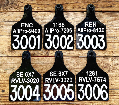 Custom Basic Engraved Ritchey Cow Ear Tags